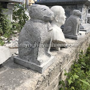 Chó đá xanh đen 1