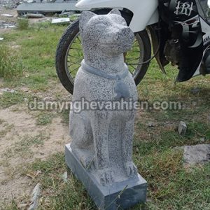 Chó đá xanh đen 2