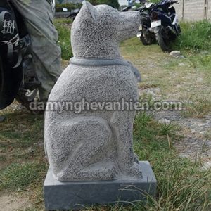 Chó đá xanh đen 4